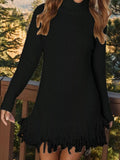 Fringe Turtleneck Long Sleeve Sweater Dress - Your Second Look