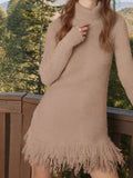 Fringe Turtleneck Long Sleeve Sweater Dress - Your Second Look