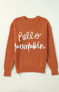 Letter Graphic Round Neck Long Sleeve Sweater - Your Second Look