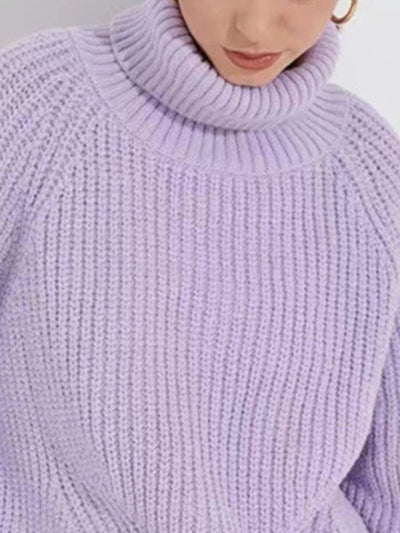 Basic Staple Turtleneck Sweater - Your Second Look
