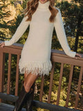 Fringe Turtleneck Long Sleeve Sweater Dress - Your Second Look