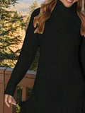 Fringe Turtleneck Long Sleeve Sweater Dress - Your Second Look