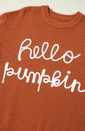 Letter Graphic Round Neck Long Sleeve Sweater - Your Second Look